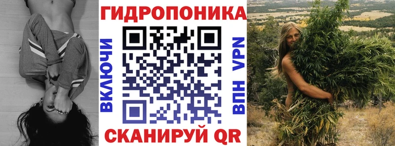 купить наркотик  Апатиты  Шишки марихуана тримм 